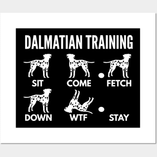 Dalmatian Training Dalmatian Dog Tricks Posters and Art